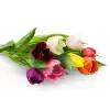 Tulips at request